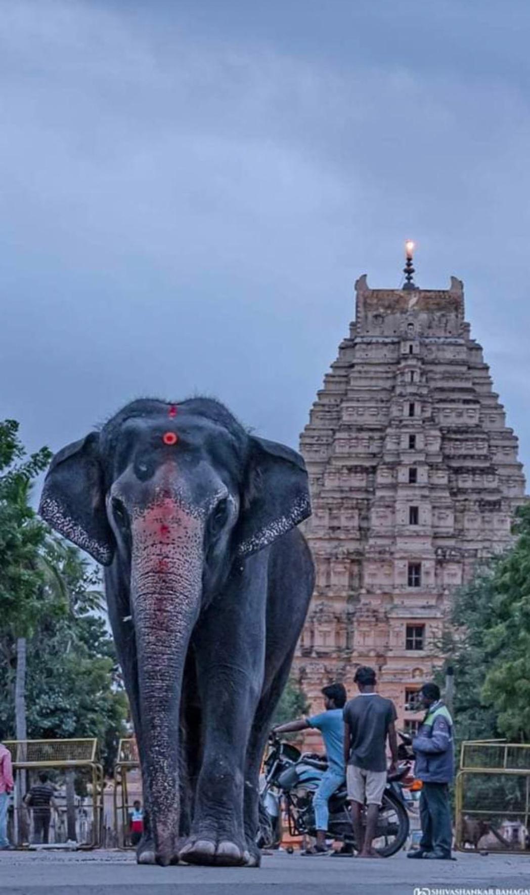 Sai Ram Home Stay Hampi Eksteriør bilde